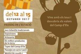 Fireta del Camp D´Elx 2017